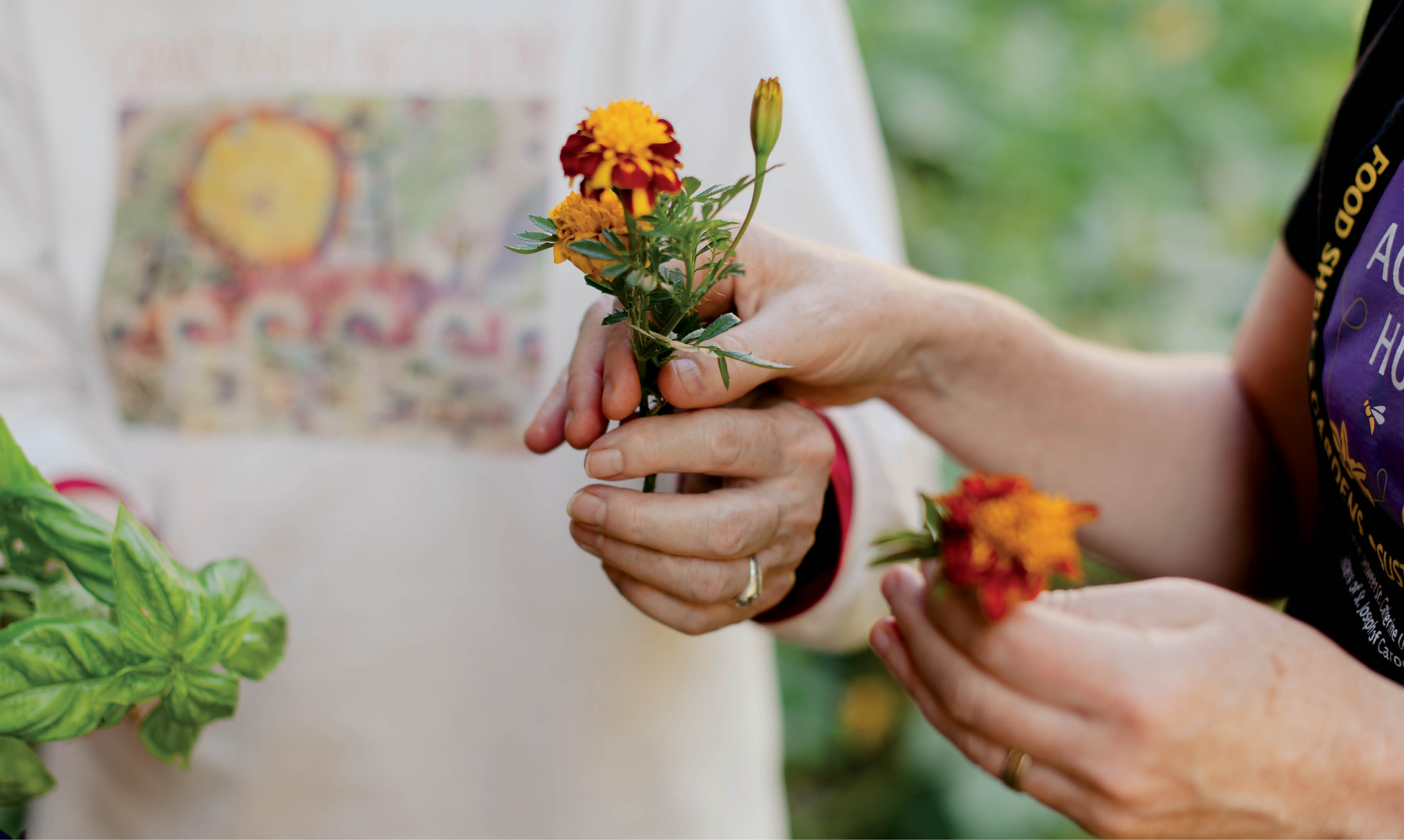 Hands holding flowers