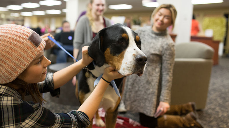 A young woman smiling and petting a small white dog indoors, participating in a stress-relief event on campus